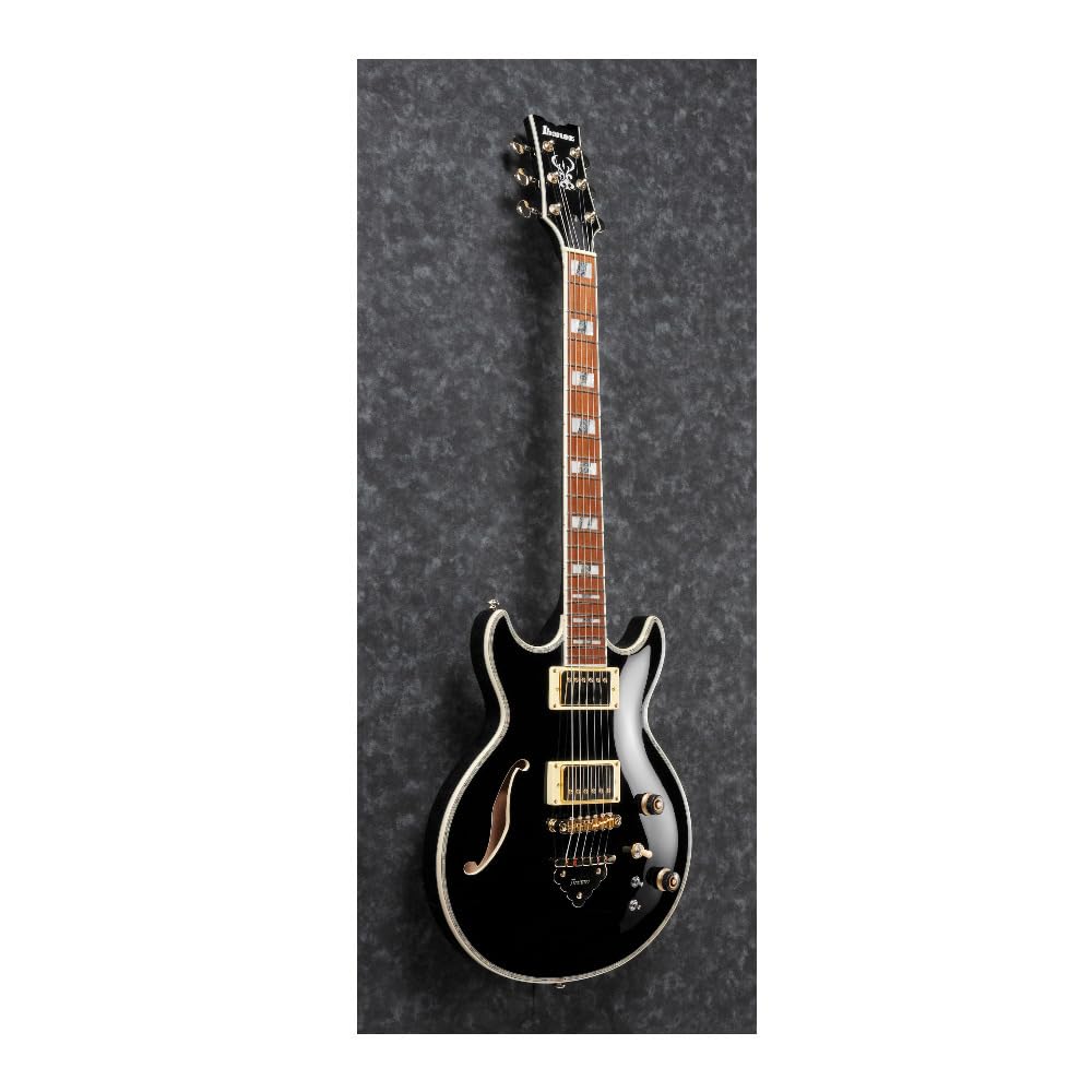 Series Ibanez/ARTIST AR520H-BK (Black)