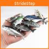 Ocean Creature Fish Model With Durable Plastic For Marine Aquarium Decoration