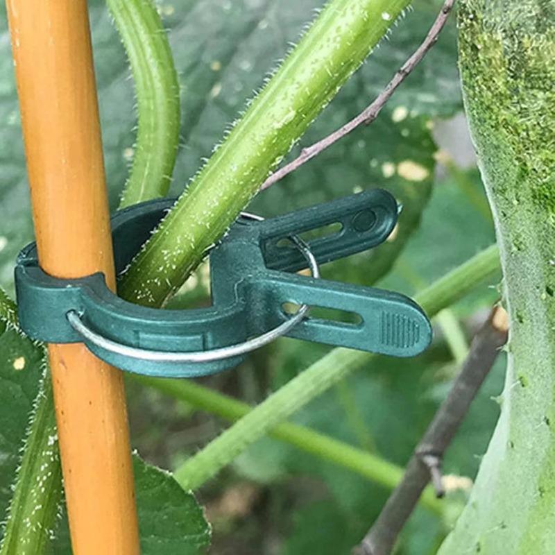 Plante faste klips Gjenbrukbare hagedrivhusbrakett for faste planter Vinrankeblomst frøplante tomater Støtte hageutstyr