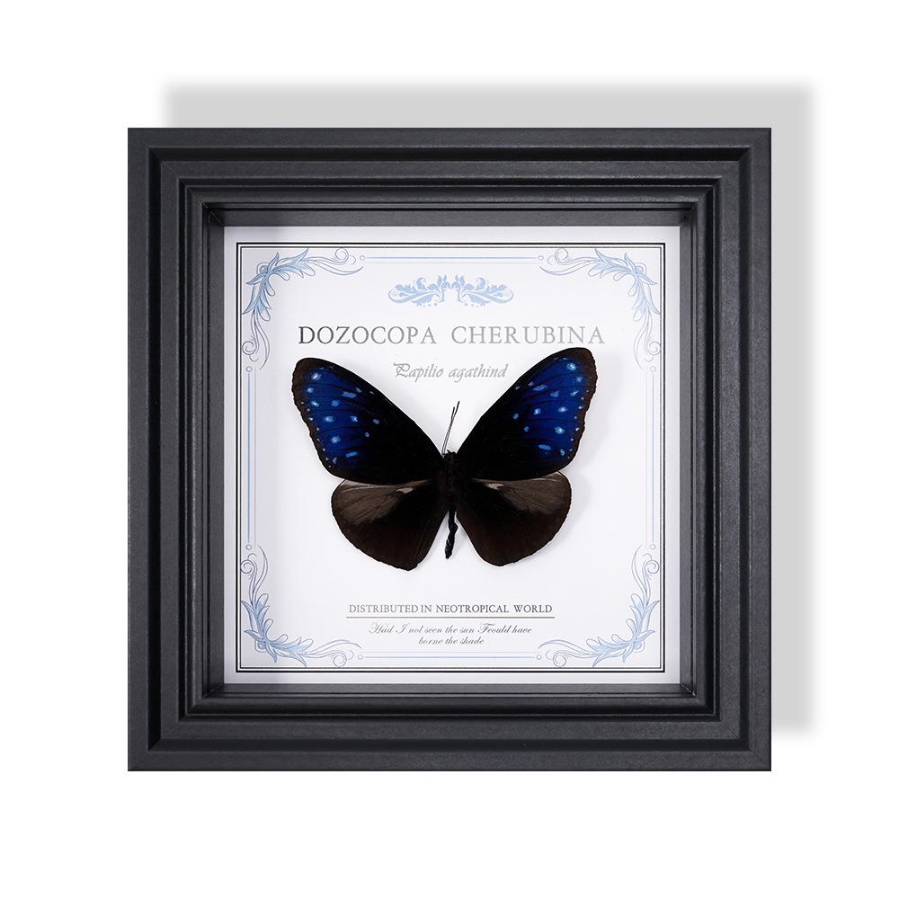 Wall-Mounted Butterfly Specimen Photo Frame: Home Decor & Gift for Valentine's Day, Qixi, Birthday, Couples & Insect Lovers