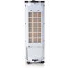 DOMO Air Cooler 67 Cm 70 W Black and White