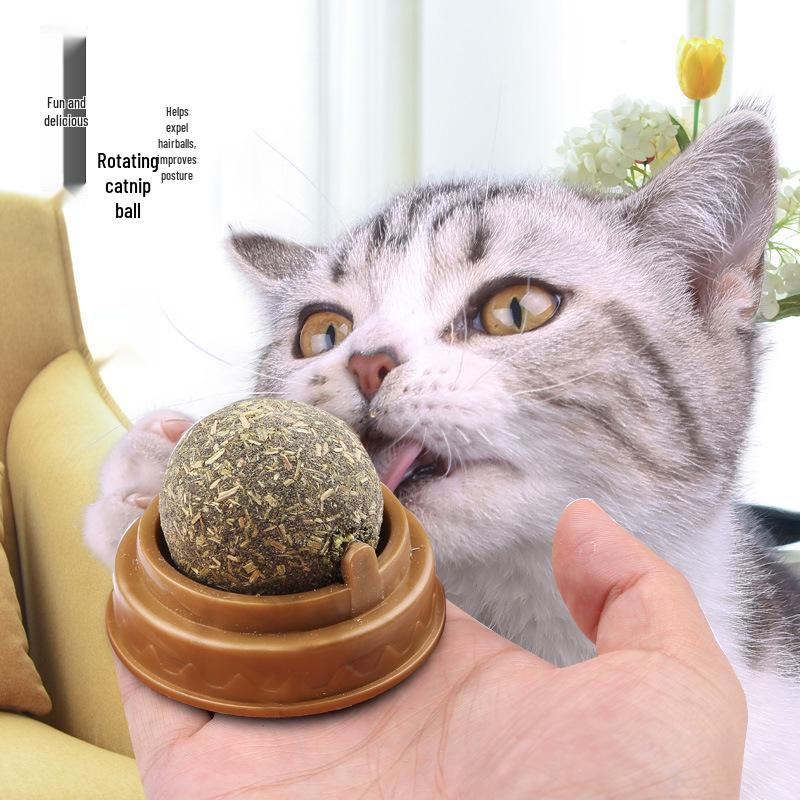 Catnip Lollipop: Cat Treat & Teaser with Matatabi Teething Stick