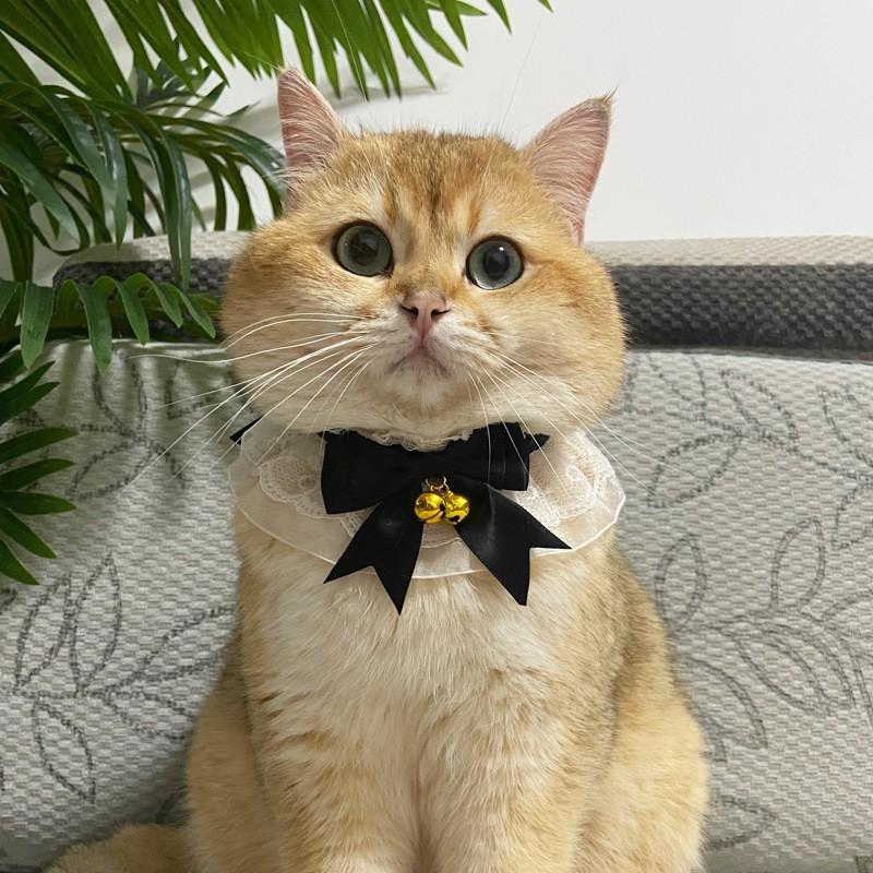 New pet bell scarf, cat bib, large, medium and small dog bib, pet jewelry, necklace collar, dog bow tie. s fits around 1.0-3.5kg