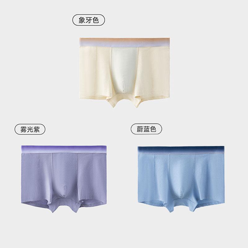 

3 шт. Мужское хлопковое нижнее белье Антибактериальная ластовица Сетчатые дышащие мужские боксеры 4XL