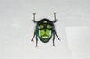 Nirvana Giant Scarab Beetle Refrigerator Plastic Finished Product Figure, Coleoptera, Ornament, Magnetic, Realistic, Adult, Illustrated, Insect,