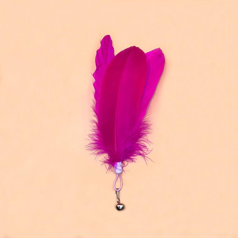 Popular Cat Teaser Accessory: Large Fluffy Feather with Bell Replacement