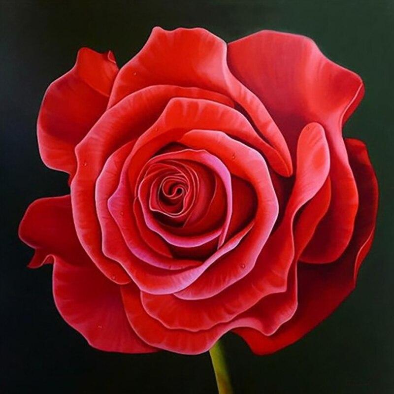 5D DIY Diamond Painting Rose Flower Diamond Embroidery Fresh Flowers Cross Stitch Full Round Drill Manual Home Decor Gift