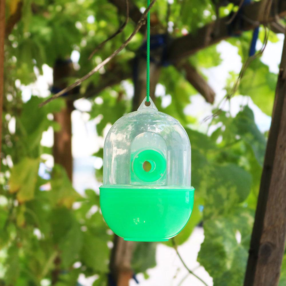 Wasp & Fly Outdoor Trap: No-Exit Design for Effective Catching, In Stock