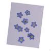 Pressed Real Dried Flowers for Resin Ornament Jewelry Making