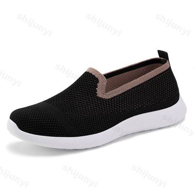 Spring Mesh Breathable Hollow Women's Shoes 2025 Slip On Flats Soft Soled Women's Casual Loafers Comfortable Sneakers