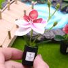 1:12 Dukkehus Miniature Phalaenopsis Blomsterpotte Potteplanter Have Hjem Model Dekoration Legetøj Dukkehus Tilbehør