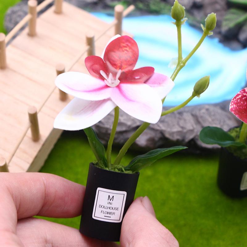 1:12 Dukkehus Miniature Phalaenopsis Blomsterpotte Potteplanter Have Hjem Model Dekoration Legetøj Dukkehus Tilbehør