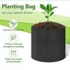 Plant Seedling Bags Non-Woven Fabric Growth Bags Durable Grow Bag Gardening Supplies Vegetable Garden Accessories
