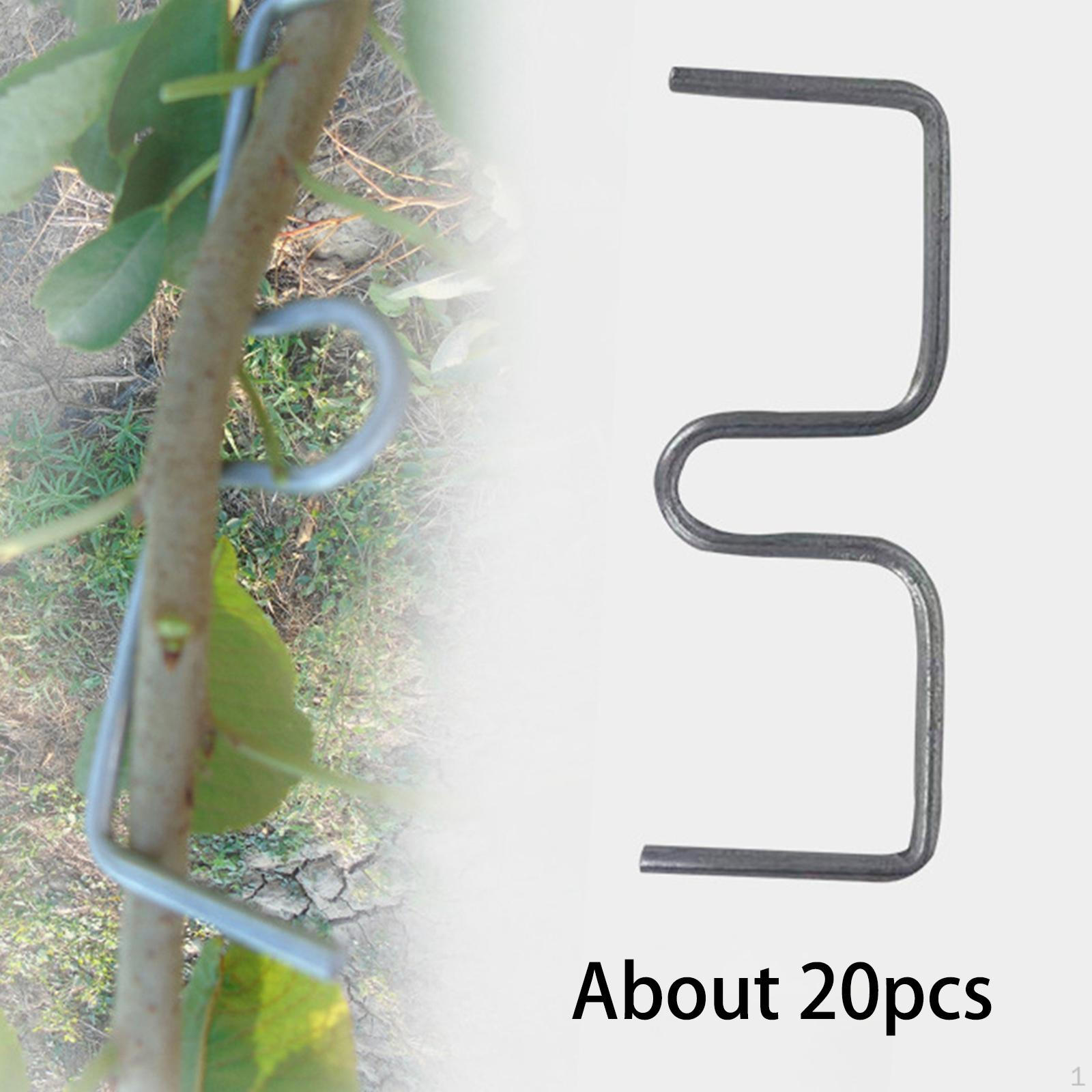 

Система підтримки росту садів і садів M13cm