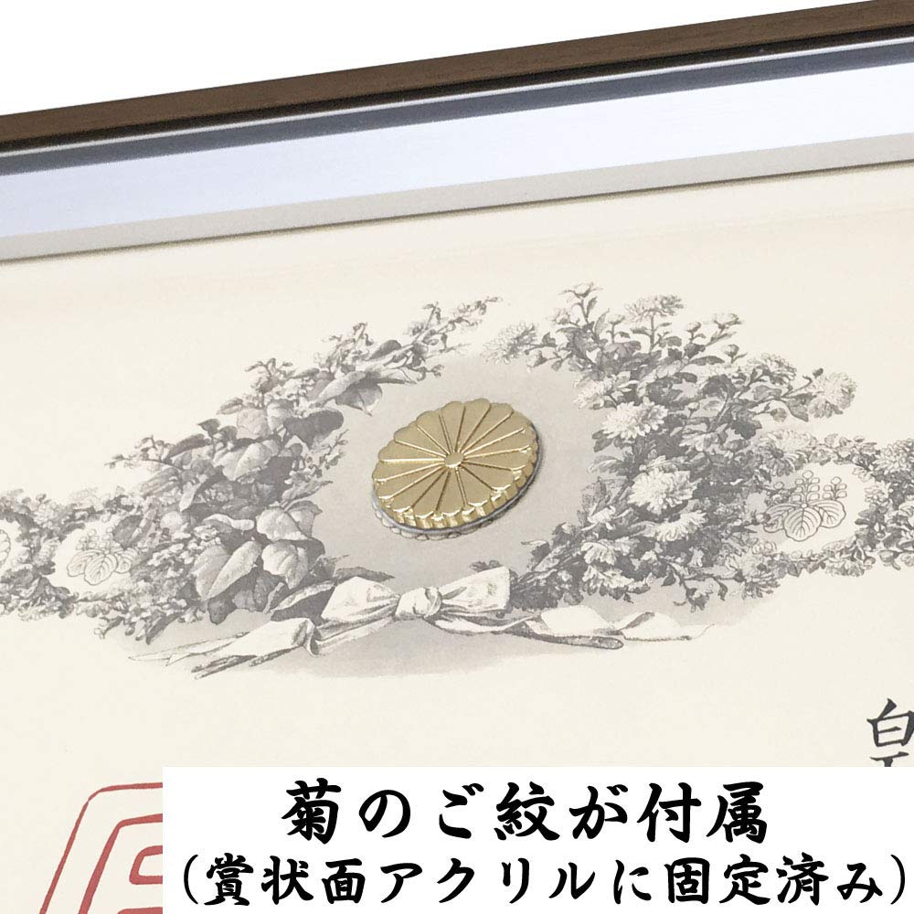 Der kleinste und leichteste stilvolle Medaillenrahmen Crest mit verstärktem Acryl von Indoor-UV (Eiche Farbe) UV-beständig (blockiert 98% der Strahlen)