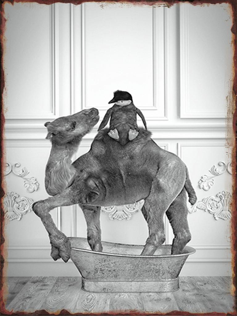 Toilet Animal Funny Metal Tin Signs Home Bathroom Wall Art Decoration Public Lavatory Plaques Restroom Plate Background Poster