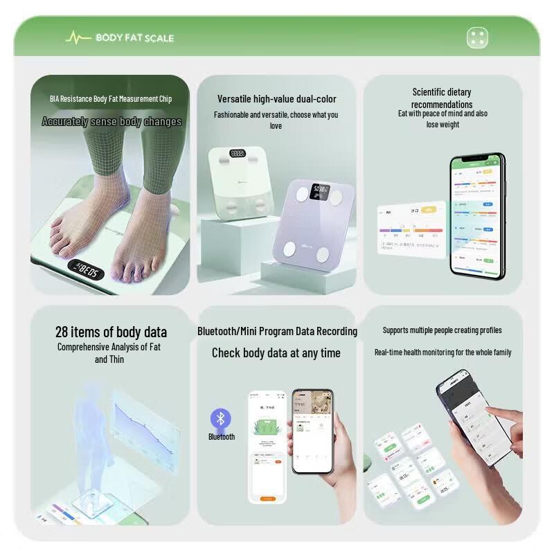 Bear Smart Rechargeable Body Fat Scale