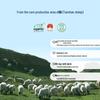 Ningxin Ningxia Yanchi Tan Sheep Original Cut Lamb Meat