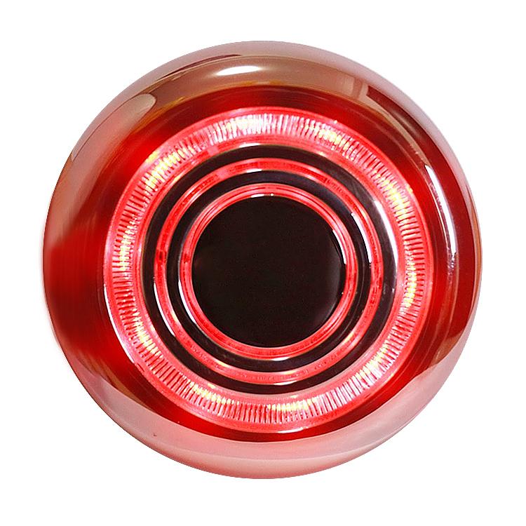 Face Massager Body Massager Face Lift Body Slim Ultrasonic Vibration Massage EMS Microcurrent RF Radiofrequency LED Phototherapy