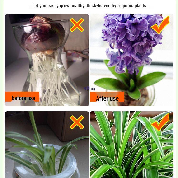 Hydroponic Nutrient Fertilizer for Indoor Green Plants, Lucky Bamboo, Money Trees, Flowers, and Vegetables In Potted Soil.