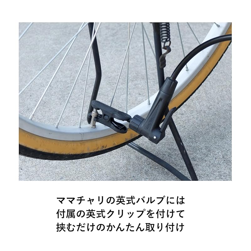 Panaracer Bicycle Air Pump with Long Hose, Pressure Gauge, Compatible with All Valves, Black Resin, BFP-PGAB2-LH