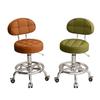 Rotating Hair Salon Barber Chair with Casters