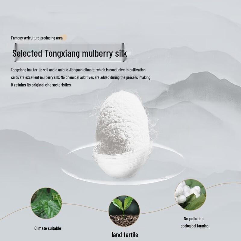 Mercury Home Textiles 100% Mulberry Silk All-Season Duo Quilt