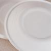Grassland Outdoor BBQ Fruit Paper Plates