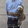 Sloth No.4575