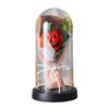 Pumpkin Dome Light LED Clear Cloche Pumpkin Night Light for Halloween Home Kitchen Tabletop Mantel Garden Poolside Decor