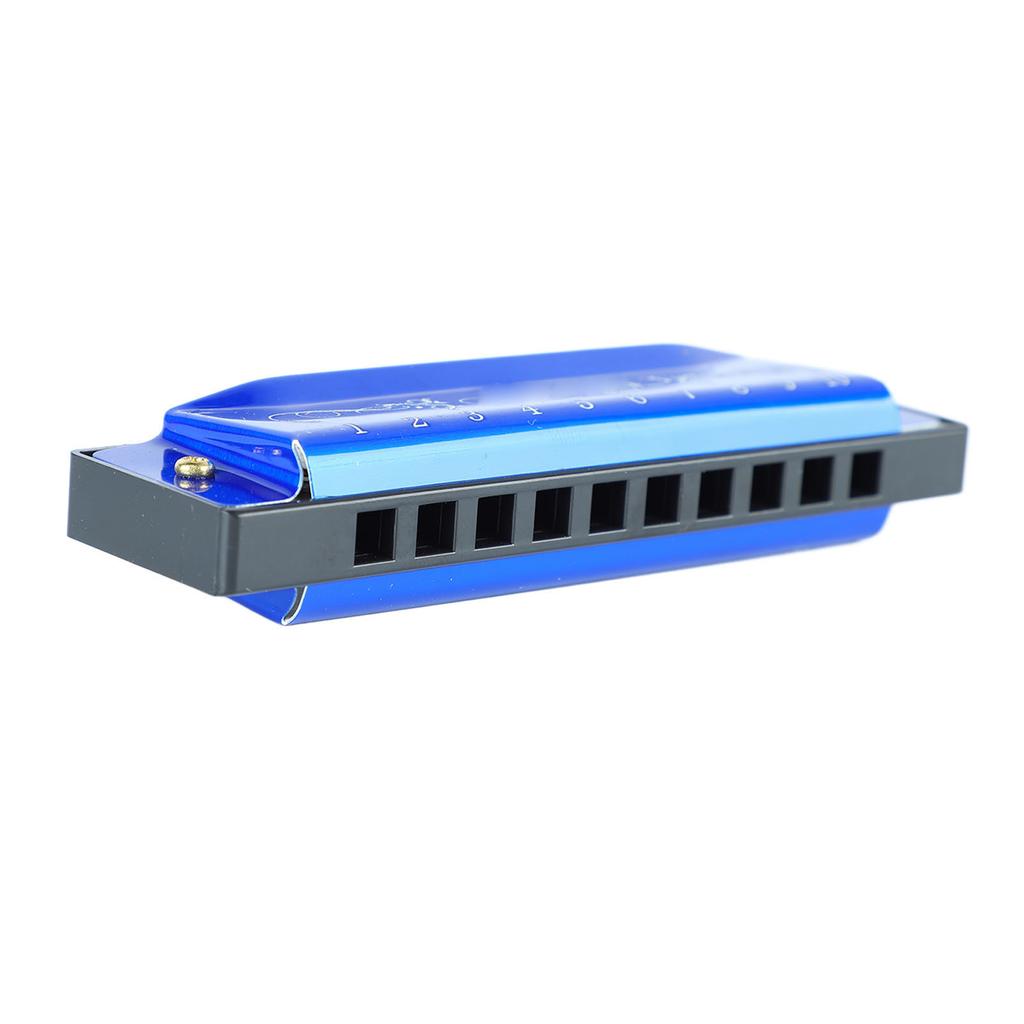 Harmonica 10 Hole 20 Tune C Key Professional Standard Mouth Organ with Case for Kid Beginner Blue