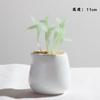 Handmade Glass Blown Cactus Cute Crystal Art Cactus Statue Collection Desk Desktop Simulation Plant Decoration