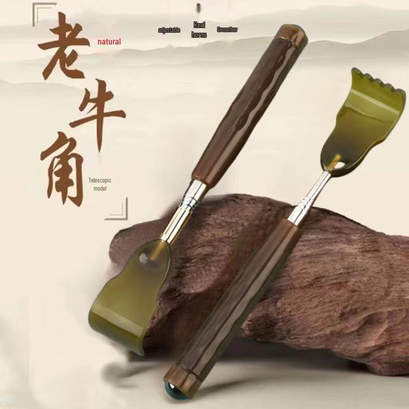 Telescopic Back Scratcher 10-Pack