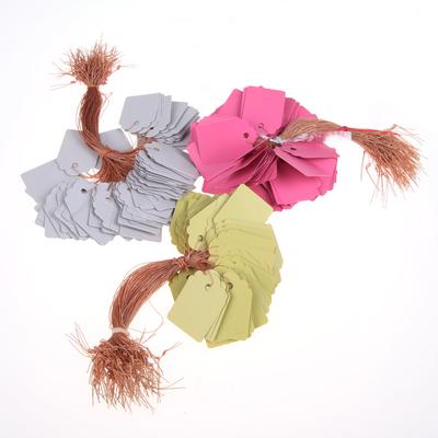 100pcs Plant Tags PVC Nursery Garden Labels Hanging Plant Markers DIY Seedlings Labels for Plants Garden