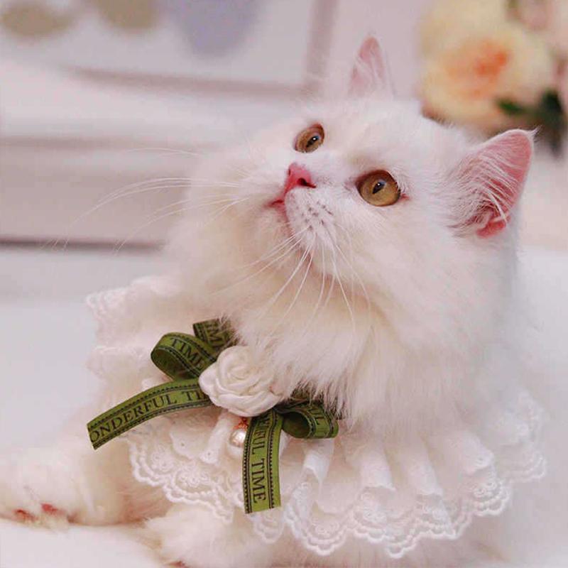 Dark Green Bow Knot Pet Cat Necklace Floral Pearl Decorate Bib Neck Collar for Small Medium Dogs Lace Wedding Cats Accessories