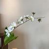 Artificial Pendulous Jasmine, Silk Flower, Crabapple, Single Stem, Light Luxury Artificial Flower, Home Interior Landscape Decoration Flower
