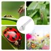 Observe Nature Bug Box Container Clear Window Bug Catching Tool Insect Collection Kit  Gifts