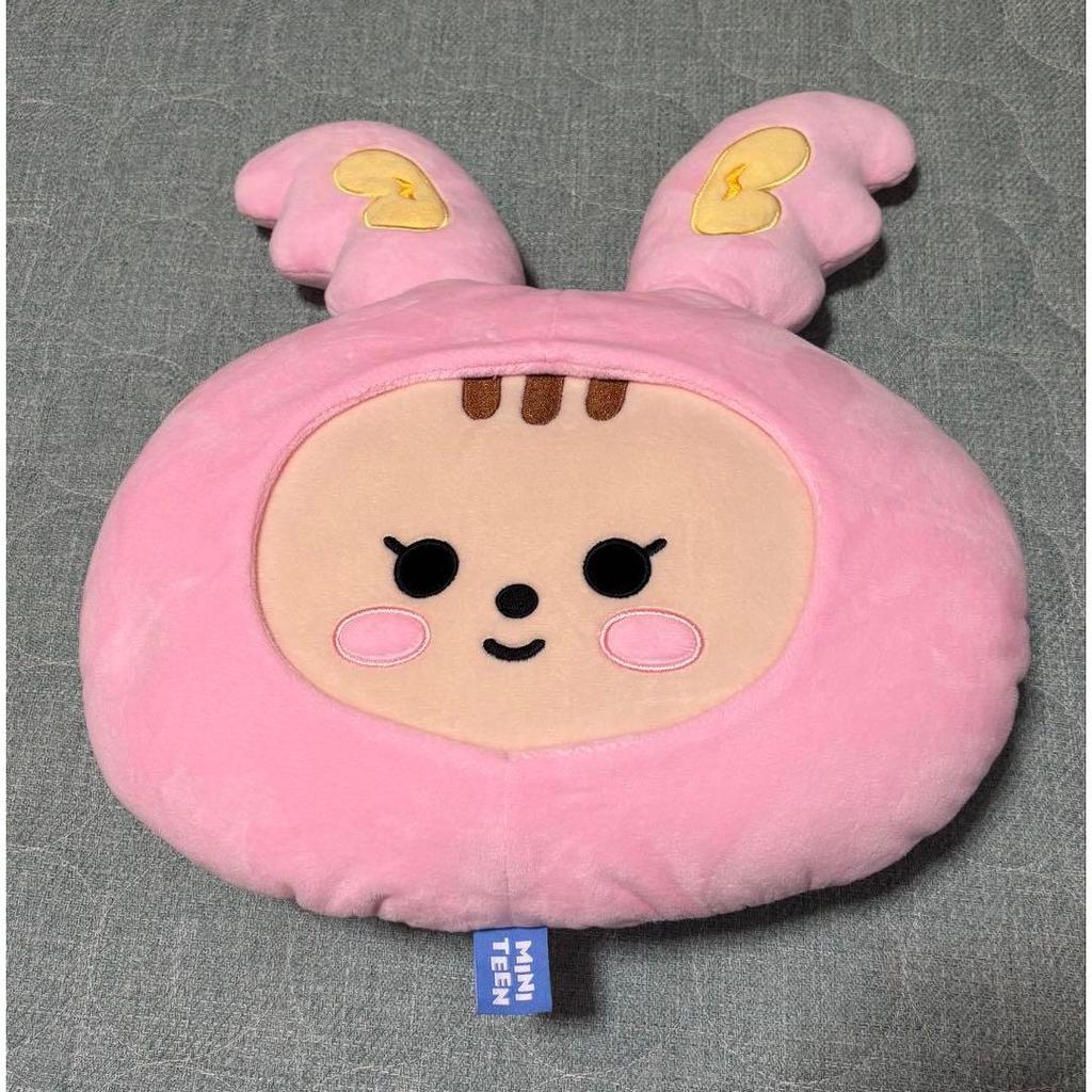 Used SEVENTEEN Jeonghan MINITEEN Tram Cushion