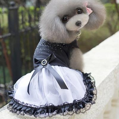 Giyim ve ayakkabı – Köpek elbiseleri