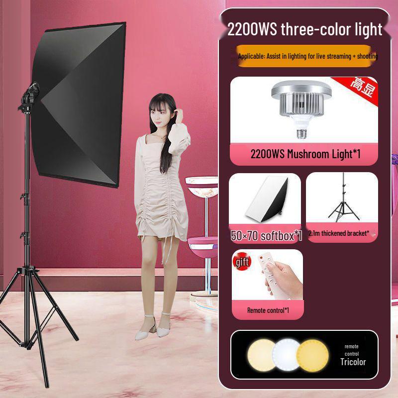 2200WS Super Bright Spherical Fill Light for Live Beauty, Photography, and Indoor Clothing Shoots