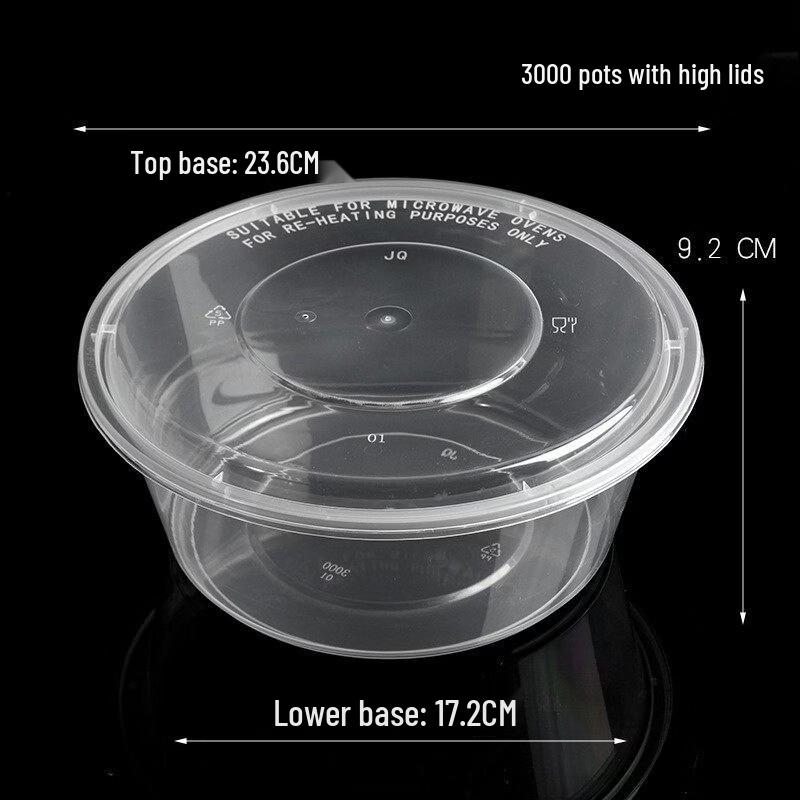 Disposable Transparent Plastic Takeaway Lunch Box