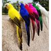 25/35cm Handmade Simulation Parrot Feather Ornament Garden Bird Prop Decoration