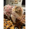 Lace Pet Dog Dress - Princess Style Outfit,Spring Floral Printing Tutu For Small Dog,Ideal for Puppy Birthday Party & Daily Wear