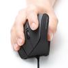 SANWA Ergonomic Vertical Silent Wireless Mouse