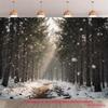 2D flat surface 1 piece - Snowy forest path winter wonderland banner - UV printed polyester background fabriczyc