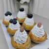 6Pcs Realistic Artificial Desserts,Shop Decors Food Imitation Simulation Models Kitchen Display Film