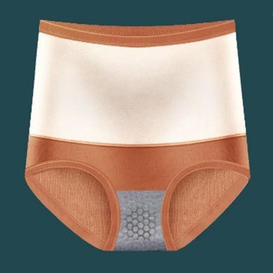 Damen-Unterhose, verdickter Plüsch, warme Taille, Gebärmutterschutz, hohe Taille, Bauchkontrolle, elastisch, weich, einfarbig, antiseptisch, Damenhöschen, Slips