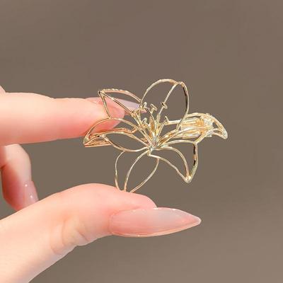 Broches et bijoux de corps