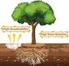 3Pcs Coconut Fibers Mulch Ring Tree Protector Mat Plant Cover Mulch Mat Weed Mats Coco Coir Mulch Ring for Indoor Outdoor Trees, Tree Plant Ring Mats