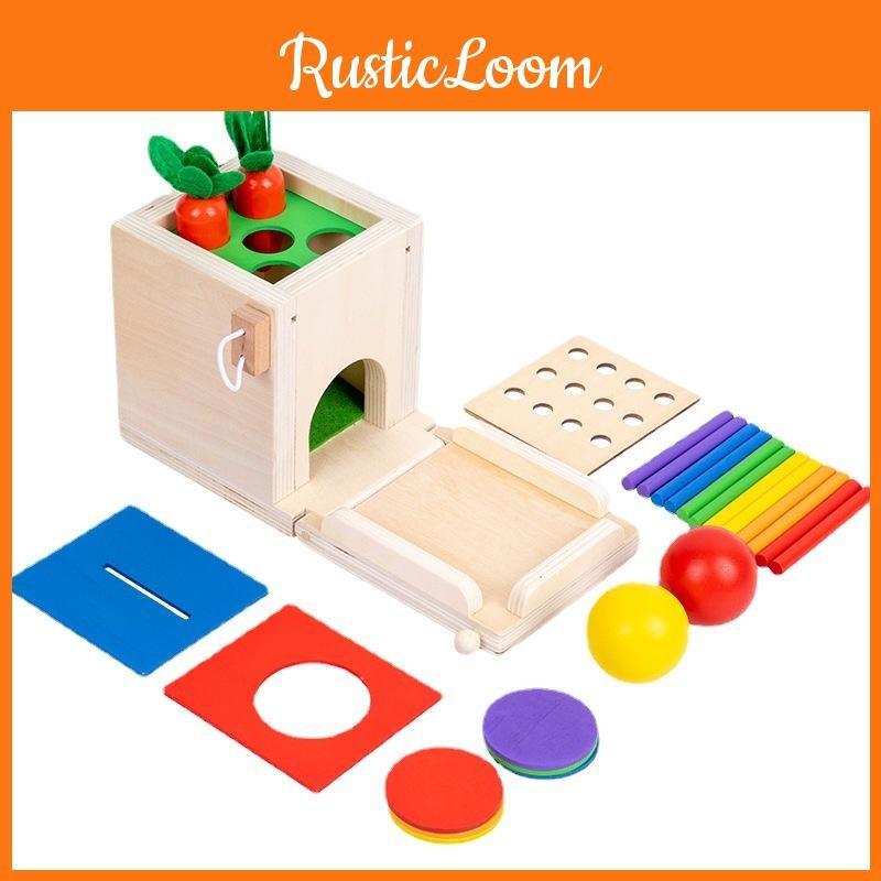 Carrot Four In One Wooden Educational Toy Coin Organizer Kids Cognitive Growth